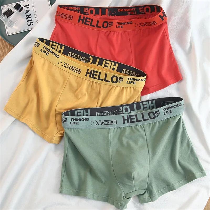 10 Stück/Herrenunterwäsche Män – Boxer Brief Pack Cotton Bewertung und Preis