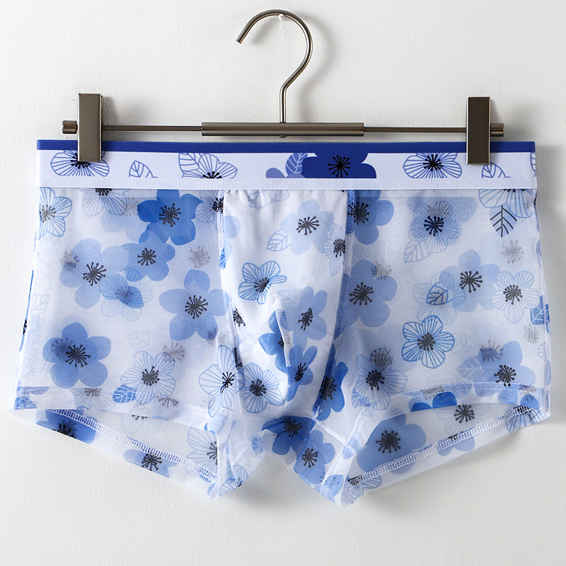 Ultradünne Transparente Eissei – Mesh Sport Boxer Bewertung und Preis
