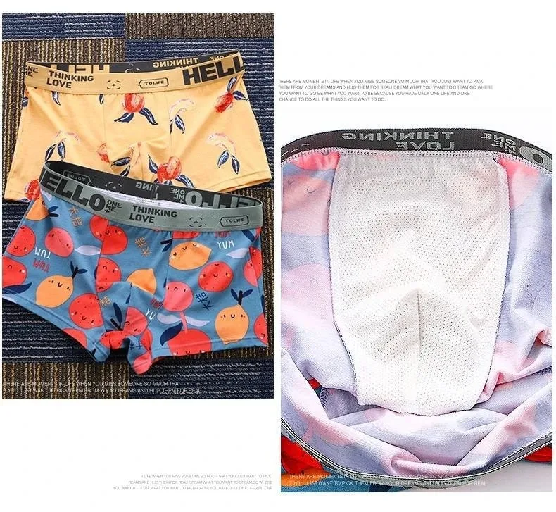 1/2/4 Stück Herren Bedruckte S – Boxer Brief Pack Cotton Bewertung und Preis